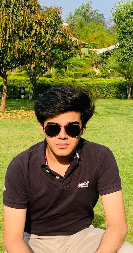 Aditya Swarnkar: The Young Digital Maestro Taking the World by Storm