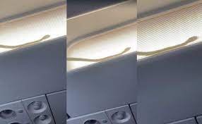 Live Snake Creates Chaos on Air Asia Flight from Bangkok to Phuket