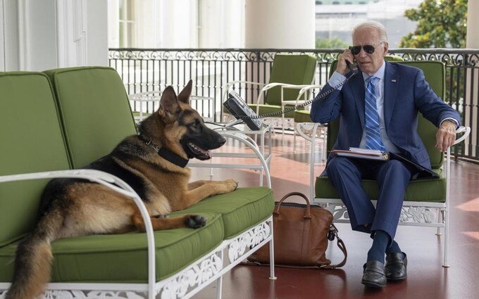 Report Reveals Joe Biden's Dog Bit Secret Service Agents 24 Times: Commander Removed from White House