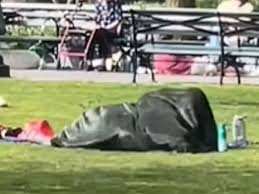 Public Outrage as Video Shows Couple Engaged in Sexual Act at NYC Park