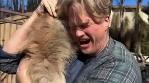 Man Reunites with Dog Oreo Five Days After LA Wildfire Evacuation, Video Goes Viral
