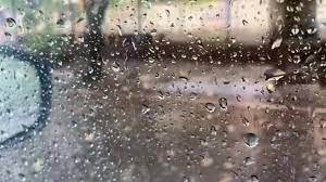 IMD Issues Orange Alert for Kerala Districts Amid Heavy Rainfall; Monsoon Advances Across Western India