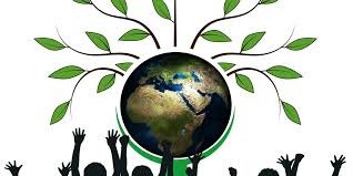 Monsoon Diaries: India’s Cultural Pride and Environmental Pulse on July 28