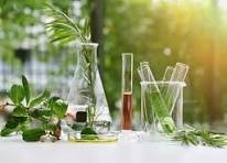 Cosmic Wonder Returns: Perseid Meteor Shower to Grace the Skies from July 16