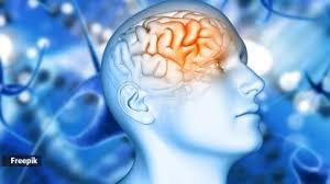 5 Brain-Boosting Habits from a Gastroenterologist: Simple Daily Hacks You Can Follow Too