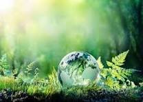 Skywatchers Ready for Annual Perseid Meteor Shower