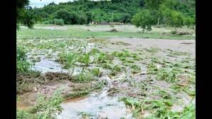 Punjab Floods: State Pushes for ₹1 Lakh Crore Support to Rebuild Economy